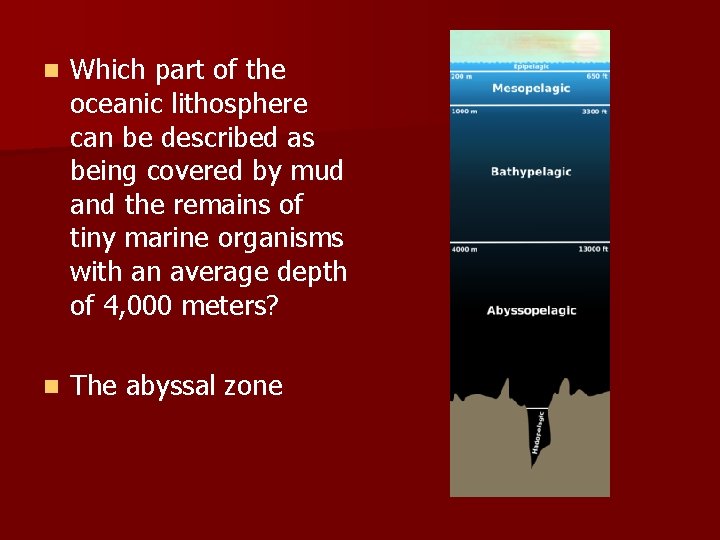 n Which part of the oceanic lithosphere can be described as being covered by