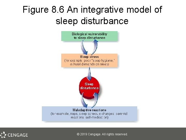 Figure 8. 6 An integrative model of sleep disturbance © 2019 Cengage. All rights