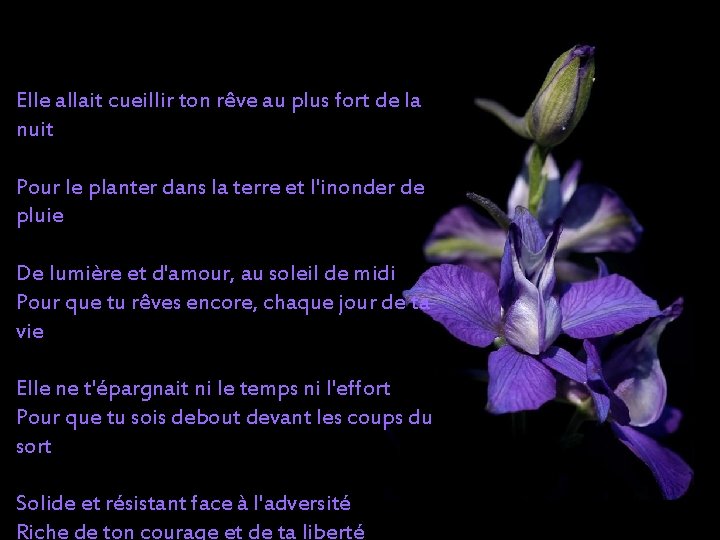 Elle allait cueillir ton rêve au plus fort de la nuit Pour le planter