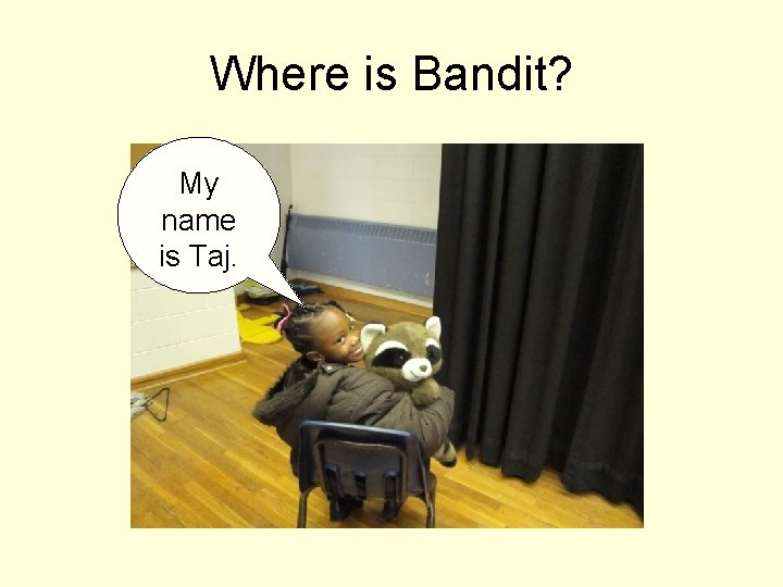 Where is Bandit? My name is Taj. 
