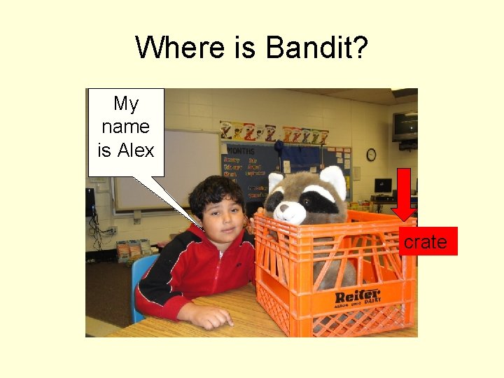Where is Bandit? My name is Alex crate 