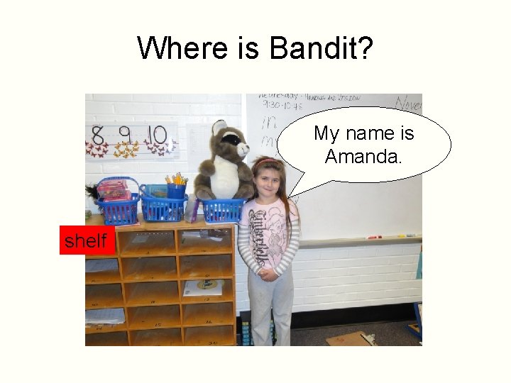 Where is Bandit? My name is Amanda. shelf 