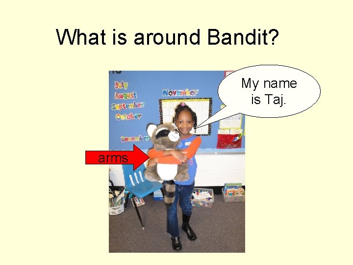What is around Bandit? My name is Taj. arms 