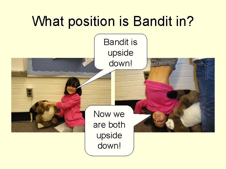 What position is Bandit in? Bandit is upside down! Now we are both upside