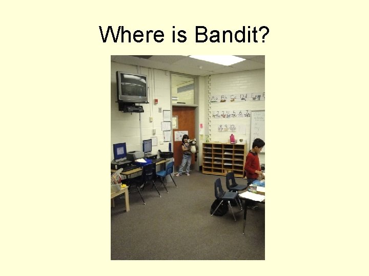 Where is Bandit? 