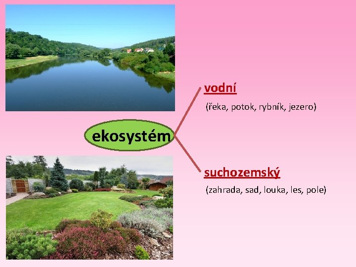 vodní (řeka, potok, rybník, jezero) ekosystém suchozemský (zahrada, sad, louka, les, pole) 