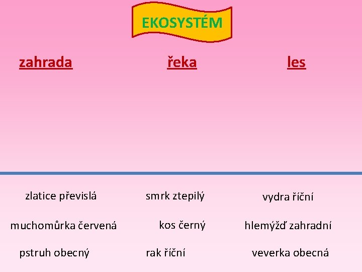 EKOSYSTÉM zahrada zlatice převislá muchomůrka červená pstruh obecný řeka smrk ztepilý kos černý rak