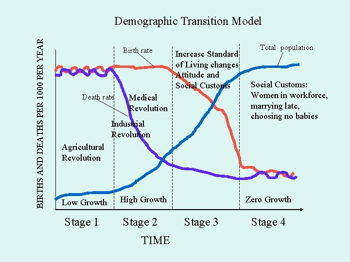 BIRTHS AND DEATHS PER 1000 PER YEAR Demographic Transition Model Birth rate Death rate