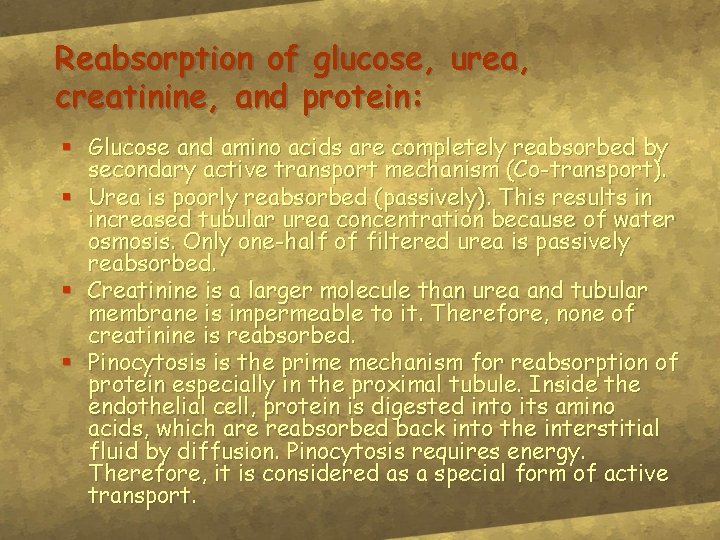 Reabsorption of glucose, urea, creatinine, and protein: § Glucose and amino acids are completely