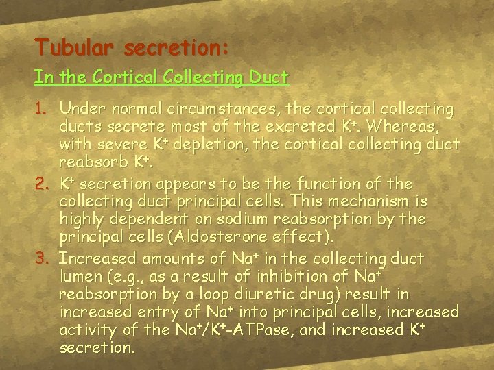 Tubular secretion: In the Cortical Collecting Duct 1. Under normal circumstances, the cortical collecting