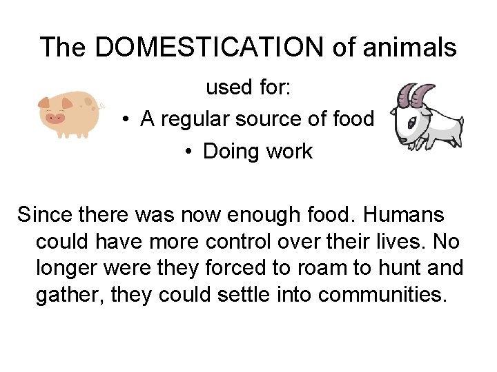 The DOMESTICATION of animals used for: • A regular source of food • Doing