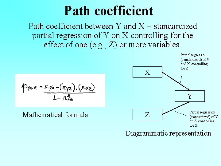 Path coefficient between Y and X = standardized partial regression of Y on X Path coefficient between Y and X = standardized partial regression of Y on X