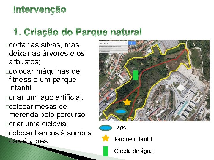 �cortar as silvas, mas deixar as árvores e os arbustos; �colocar máquinas de fitness