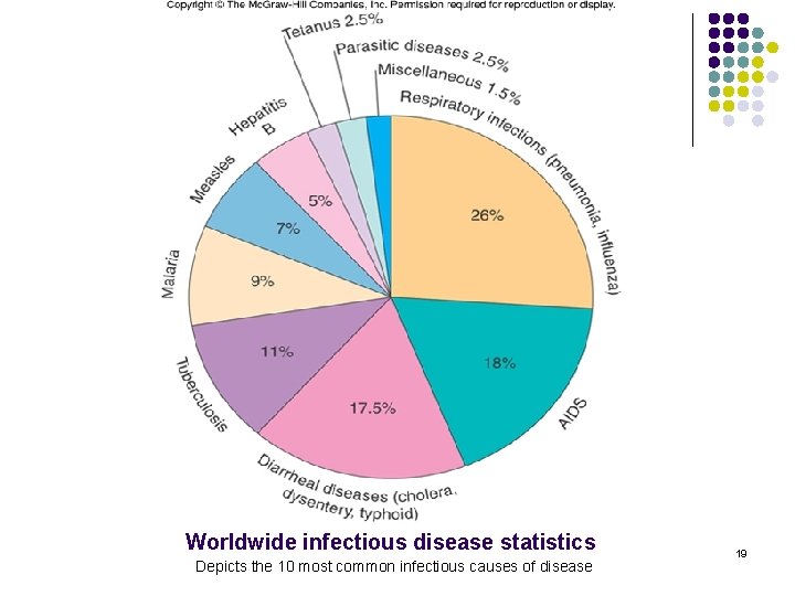 Worldwide infectious disease statistics Depicts the 10 most common infectious causes of disease 19