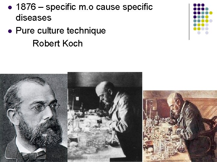 l l 1876 – specific m. o cause specific diseases Pure culture technique Robert