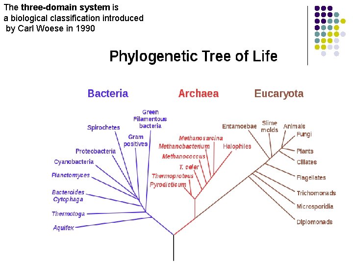 The three-domain system is a biological classification introduced by Carl Woese in 1990 