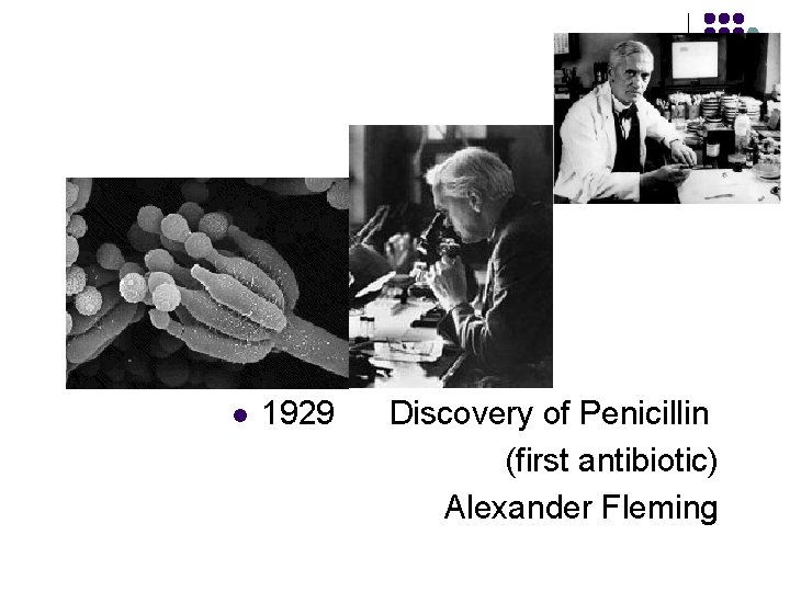 l 1929 Discovery of Penicillin (first antibiotic) Alexander Fleming 
