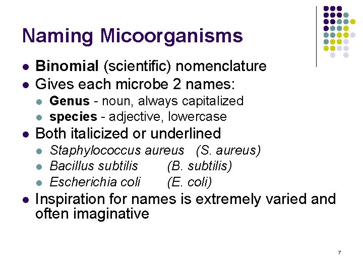 Naming Micoorganisms l l Binomial (scientific) nomenclature Gives each microbe 2 names: l l
