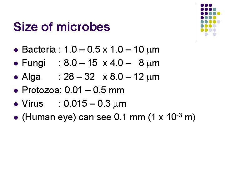 Size of microbes l l l Bacteria : 1. 0 – 0. 5 x