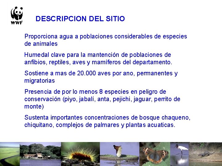 DESCRIPCION DEL SITIO Proporciona agua a poblaciones considerables de especies de animales Humedal clave