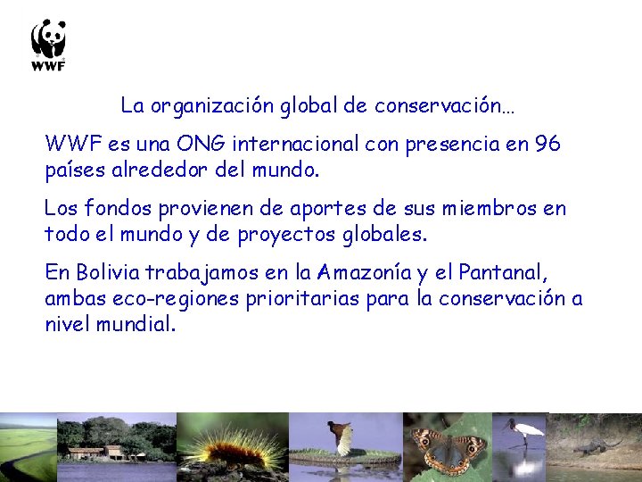 La organización global de conservación… WWF es una ONG internacional con presencia en 96