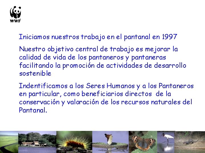 Iniciamos nuestros trabajo en el pantanal en 1997 Nuestro objetivo central de trabajo es