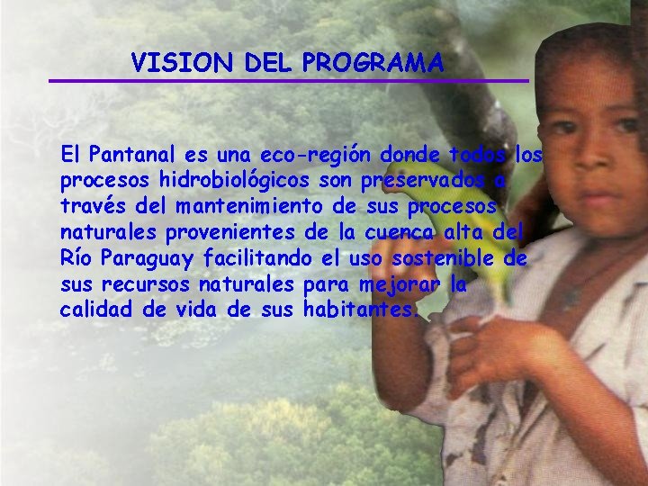 VISION DEL PROGRAMA El Pantanal es una eco-región donde todos los procesos hidrobiológicos son