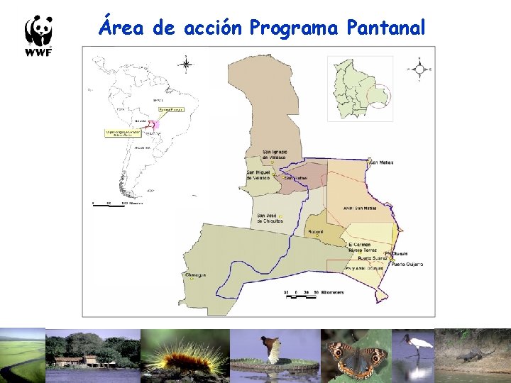 Área de acción Programa Pantanal 