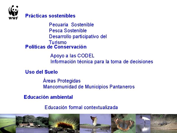 Prácticas sostenibles Pecuaria Sostenible Pesca Sostenible Desarrollo participativo del Turismo Políticas de Conservación Apoyo