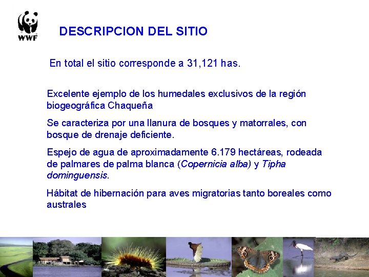 DESCRIPCION DEL SITIO En total el sitio corresponde a 31, 121 has. Excelente ejemplo