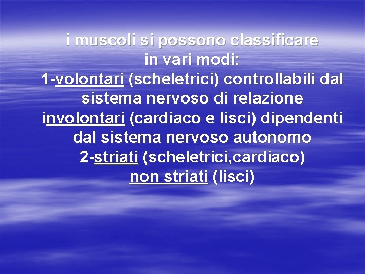 i muscoli si possono classificare in vari modi: 1 -volontari (scheletrici) controllabili dal sistema