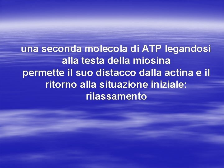 una seconda molecola di ATP legandosi alla testa della miosina permette il suo distacco