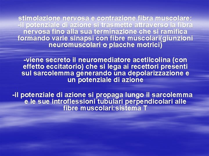 stimolazione nervosa e contrazione fibra muscolare: -il potenziale di azione si trasmette attraverso la
