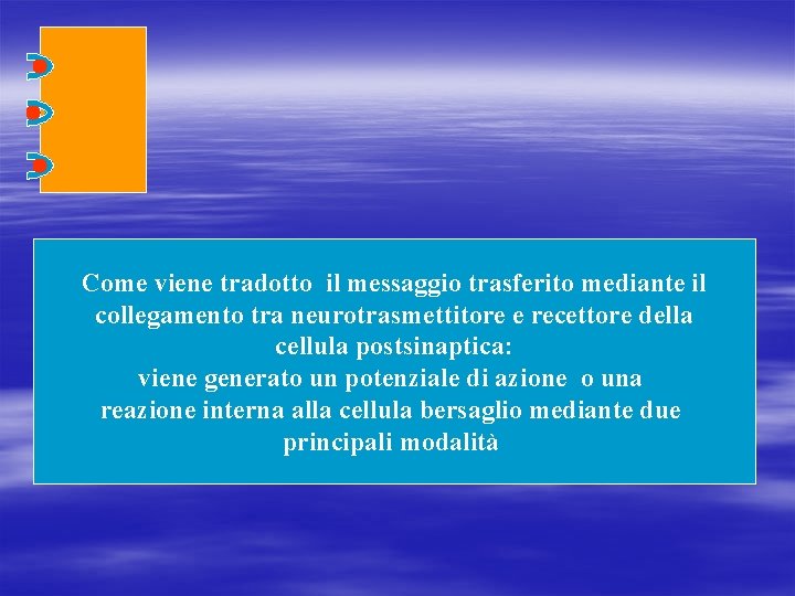 Come viene tradotto il messaggio trasferito mediante il collegamento tra neurotrasmettitore e recettore della