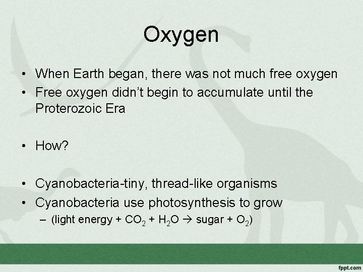 Oxygen • When Earth began, there was not much free oxygen • Free oxygen