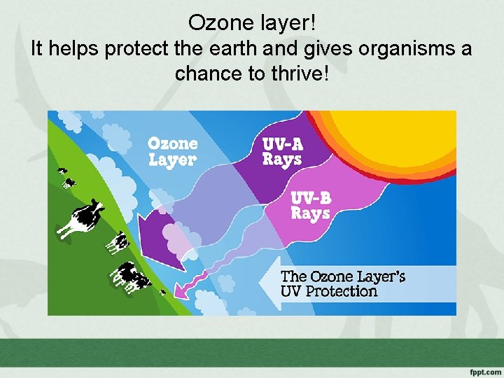 Ozone layer! It helps protect the earth and gives organisms a chance to thrive!