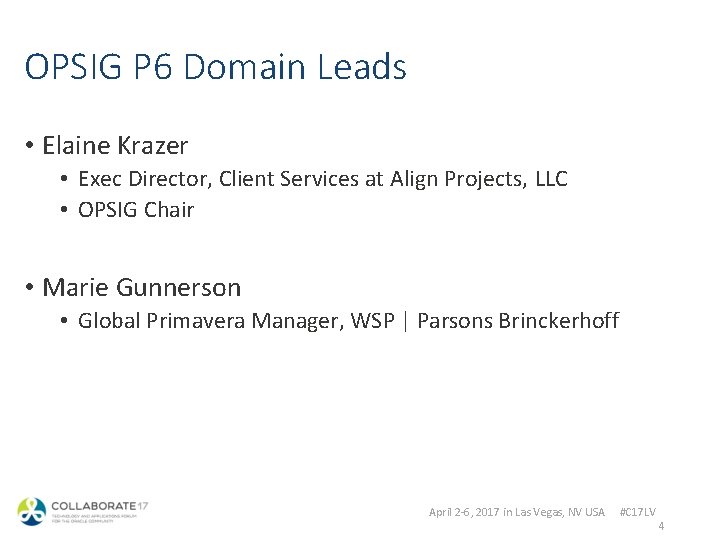OPSIG P 6 Domain Leads • Elaine Krazer • Exec Director, Client Services at