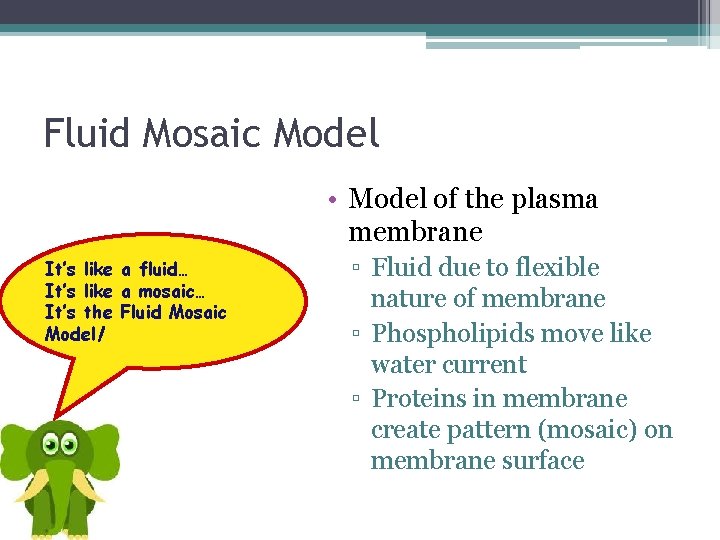 Fluid Mosaic Model • Model of the plasma membrane It’s like a fluid… It’s