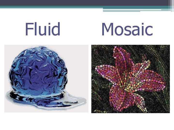Fluid Mosaic 