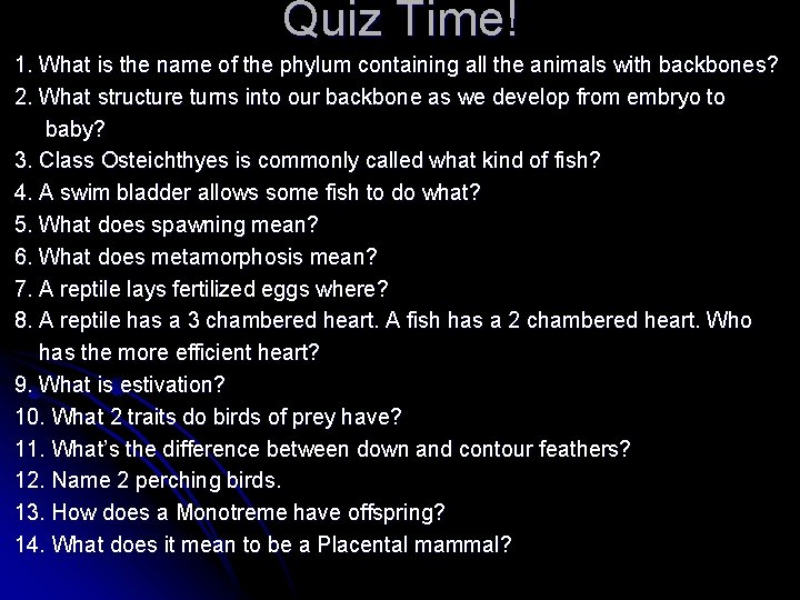 Quiz Time! 1. What is the name of the phylum containing all the animals