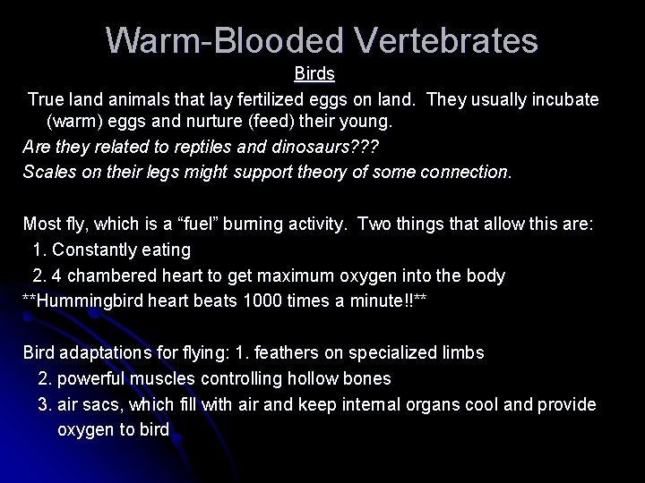 Warm-Blooded Vertebrates Birds True land animals that lay fertilized eggs on land. They usually