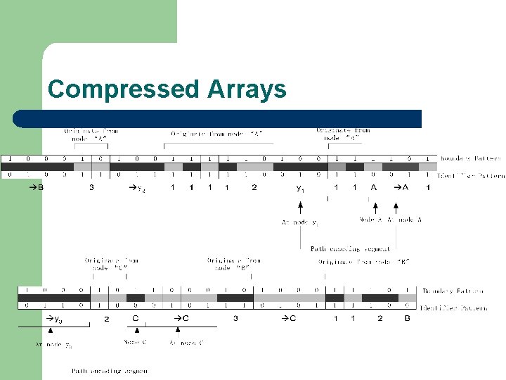 Compressed Arrays 