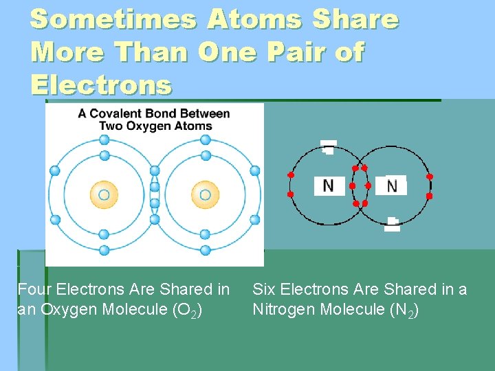 Sometimes Atoms Share More Than One Pair of Electrons Four Electrons Are Shared in