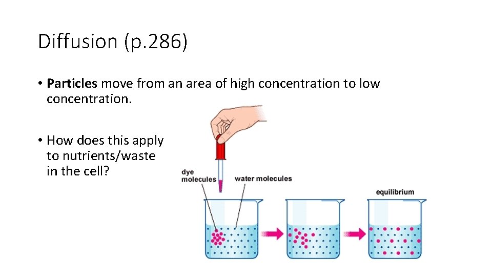 Diffusion (p. 286) • Particles move from an area of high concentration to low