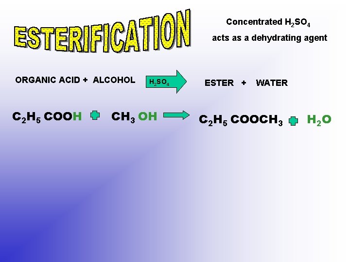 Concentrated H 2 SO 4 acts as a dehydrating agent ORGANIC ACID + ALCOHOL