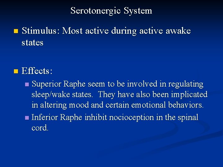 Serotonergic System n Stimulus: Most active during active awake states n Effects: Superior Raphe