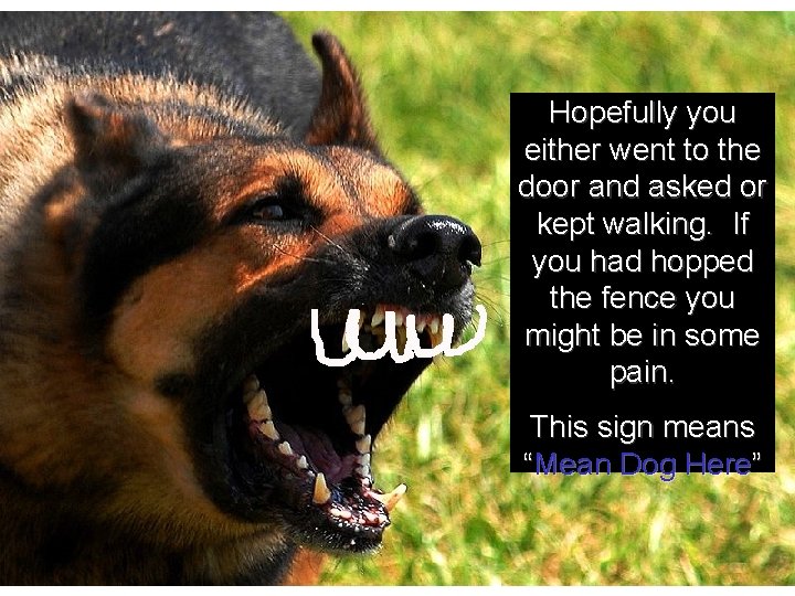 Hopefully you either went to the door and asked or kept walking. If you