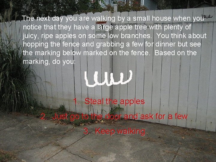 The next day you are walking by a small house when you notice that