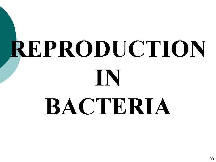 REPRODUCTION IN BACTERIA 30 