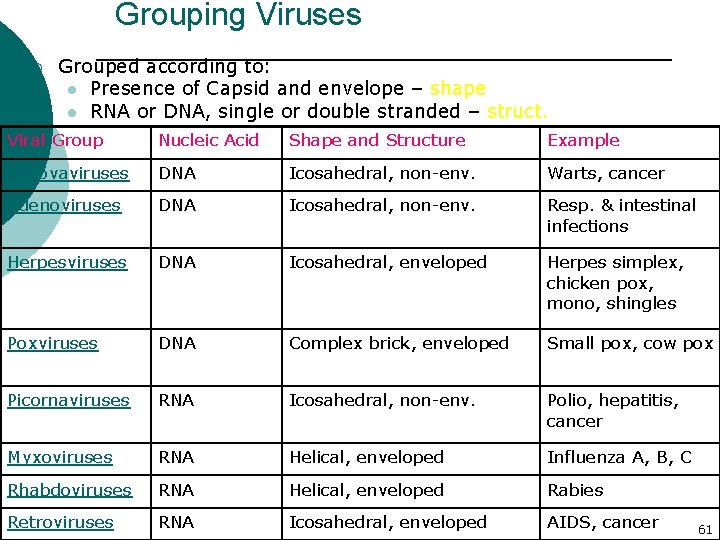 Grouping Viruses ¡ Grouped according to: l Presence of Capsid and envelope – shape